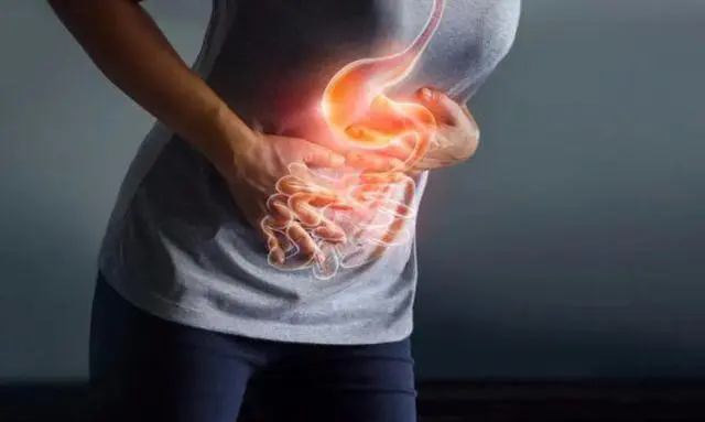 肠道菌群：掌控健康的隐形力量